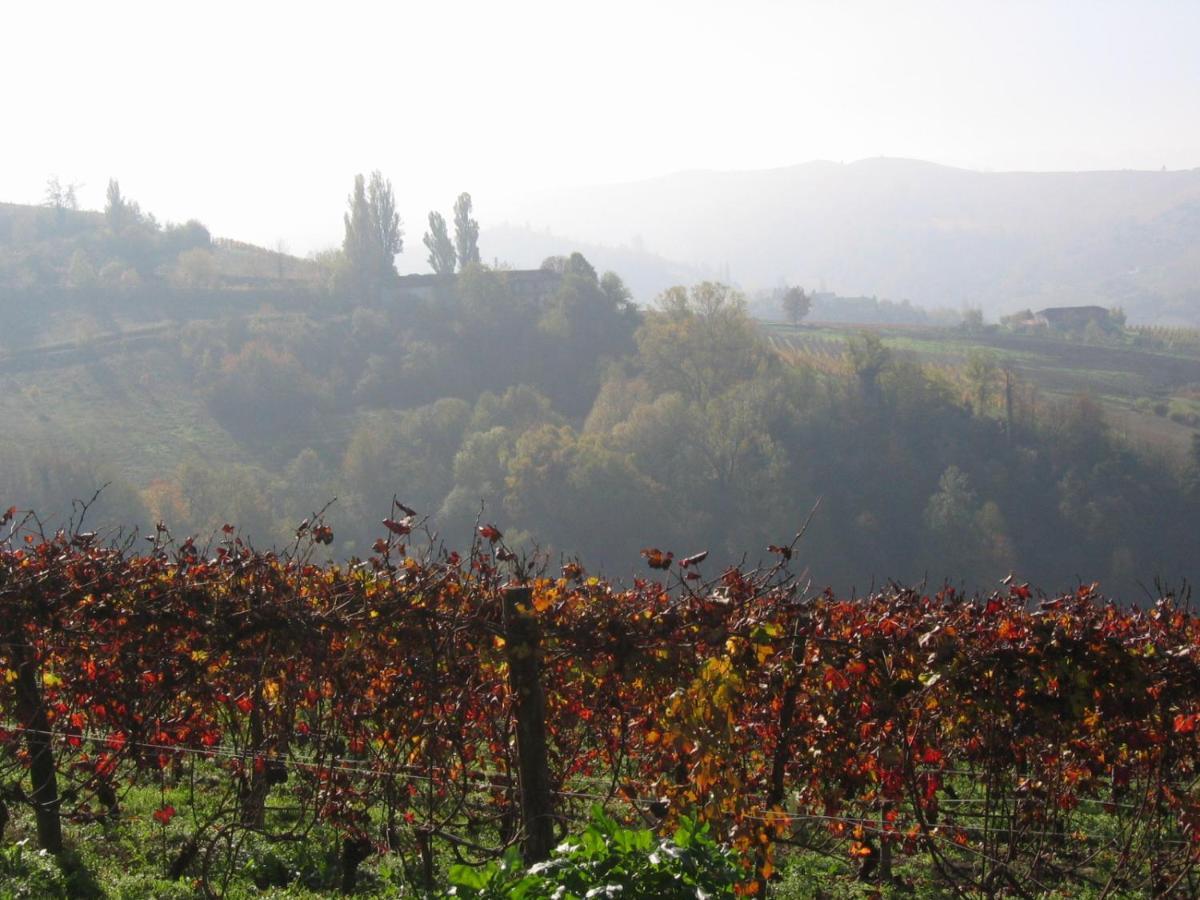 ברולו Agriturismo Il Gioco Dell'Oca מראה חיצוני תמונה